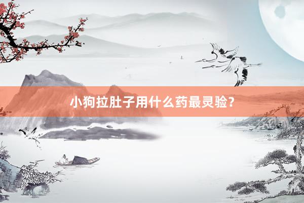 小狗拉肚子用什么药最灵验？