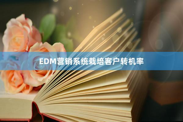 EDM营销系统栽培客户转机率